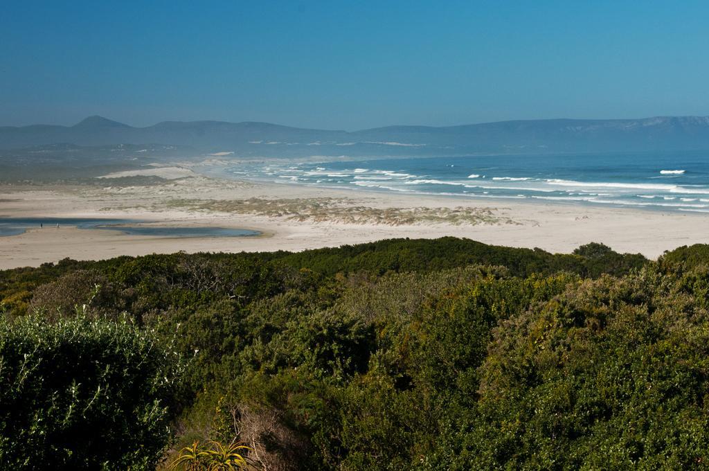 Mosselberg On Grotto Beach Hermanus Extérieur photo