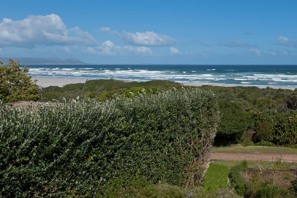 Mosselberg On Grotto Beach Hermanus Extérieur photo
